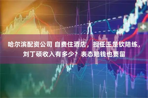 哈尔滨配资公司 自费住酒店，担任王楚钦陪练，刘丁硕收入有多少？表态赔钱也要留